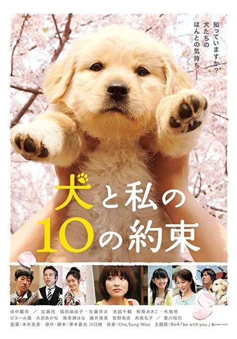 相築あきこの作品 Watcha Pedia