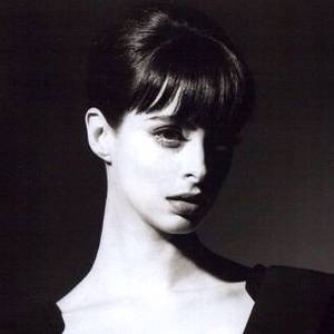 ㅤㅤㅤㅤㅤㅤㅤ