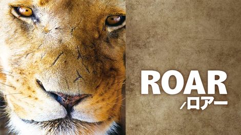 Roar ロアー 映画 ドラマを見るならwatcha Roar ロアー 映画 ドラマを見るならwatcha