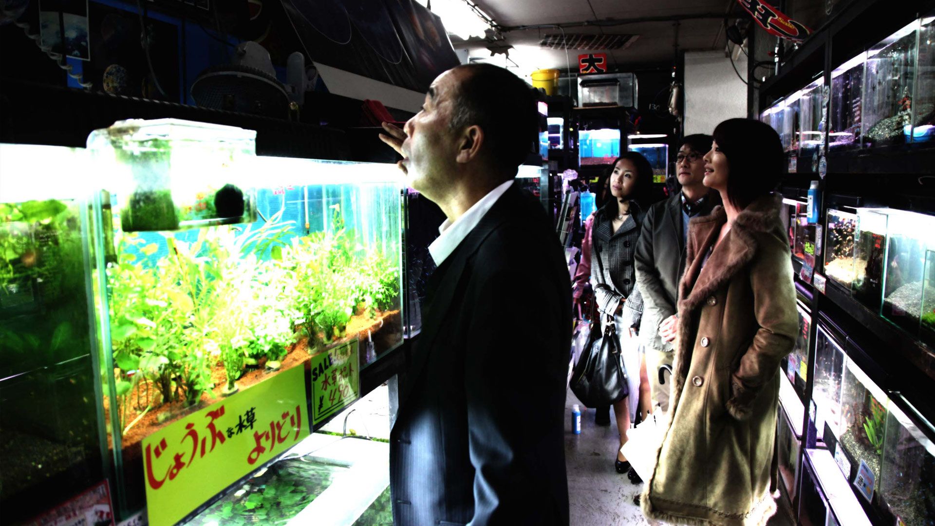 《冰冷熱帶魚》Cold Fish | 2010 | 日本 | 冷たい熱帯魚 (2010) - 映画やドラマの評価・レビュー情報見るならWATCHA PEDIA