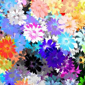 まるやま あすか