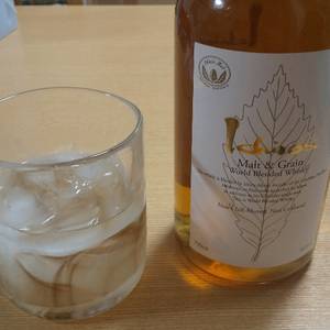 フィルムの旅遊人