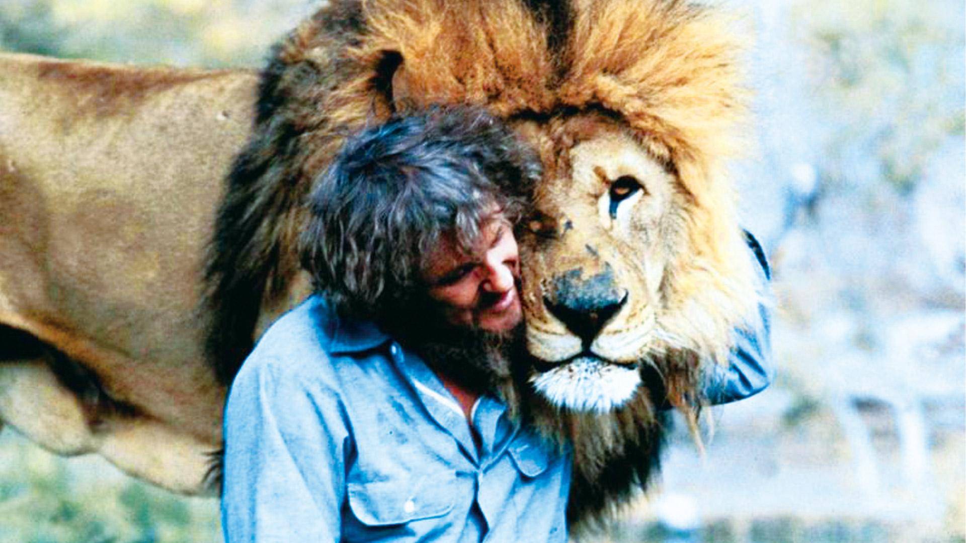 Roar ロアー 映画 ドラマを見るならwatcha Roar ロアー 映画 ドラマを見るならwatcha