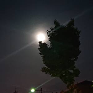 mainichihinatabokko