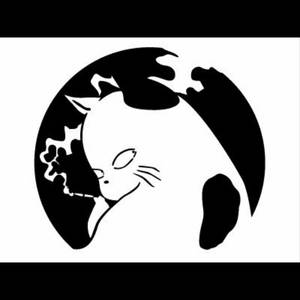 イリオモテコタツヤマネコだっちゃ