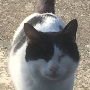 T.H 眠れないなー