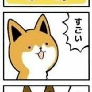 龍(;´༎ຶД༎ຶ`)臣