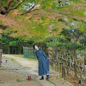 カウチポテキャット