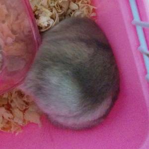 へよ