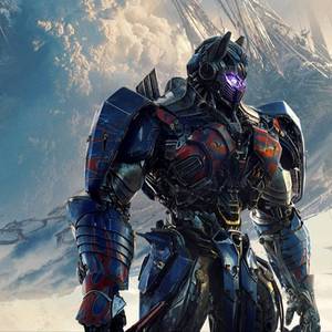 郷狐(きょうこ)